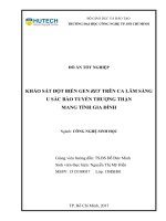 Khảo sát đột biến gen ret trên ca lâm sàng u sắc bào tuyến thượng thận mang tính gia đình 