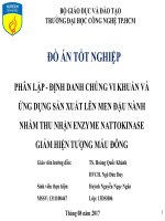 Phân lập   định danh chủng vi khuẩn và ứng dụng sản xuất lên men đạu nành nhằm thu nhận enzyme nattokinase giảm hiên tượng máu đông 