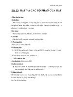 Giáo án Sinh học 6 bài 33: Hạt và các bộ phận của hạt