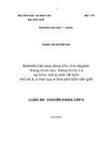Nghiên cứu ứng dụng siêu âm Doppler động mạch rốn, động mạch não và trắc đồ lý sinh cải biên để dự báo thai suy ở thai phụ tiền sản giật (FULL TEXT)