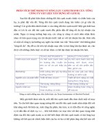 Phân tích thế mạnh và năng lực cạnh tranh của  tổng công ty vật liệu xây dựng số 1 (FICO) 