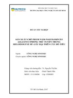 Sản xuất chế phẩm nấm paecilomyces lilacinus phòng trừ tuyến trùng meloidogyne sp  gây hại trên cây hồ tiêu 