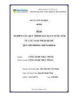 Nghiên cứu quy trình sản xuất nước sâm từ các loại thảo dược quy mô phòng thí nghiệm 