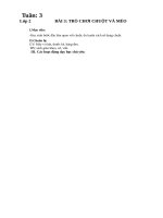 Tuần 3 giáo án môn tin học  tiểu học soạn theo định hướng PTNLHS năm học 2018 2019 doc 