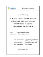 Sử dụng vi khuẩn lactobacillus spp phân lập từ thực phẩm lên men truyền thống để kéo dài thời gian bảo quản bánh mì 