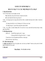 Giáo án Sinh học 6 bài 33: Hạt và các bộ phận của hạt