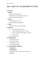 Giáo án Sinh học 6 bài 33: Hạt và các bộ phận của hạt