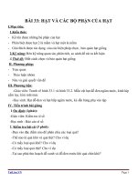 Giáo án Sinh học 6 bài 33: Hạt và các bộ phận của hạt