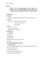 Giáo án Sinh học 6 bài 33: Hạt và các bộ phận của hạt