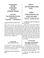 Bản Toát yếu Giáo lý Công giáo  song ngữ AnhViệt