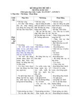 giáo án khám phá xã hội 4 tuổi