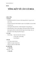 Giáo án Sinh học 6 bài 36: Tổng kết về cây có hoa