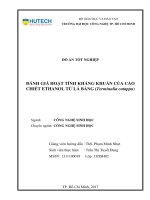 Đánh giá hoạt tính kháng khuẩn của cao chiết ethanol từ lá bàng (terminalia catappa)