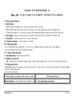 Giáo án Sinh học 6 bài 28: Cấu tạo và chức năng của hoa