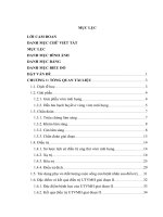 Đánh giá kết quả hóa xạ trị đồng thời trong ung thư vòm mũi họng giai đoạn II tại bệnh viện k