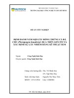 Định danh nấm sợi gây hỏng trứng cá bá chủ (pterapogon kauderni) dựa trên gen its và xác định sự lây nhiễm bằng kĩ thuật sem 