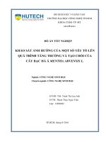 Khảo sát ảnh hưởng của một số yếu tố lên quá trình tăng trưởng và tạo chồi của cây bạc hà á mentha arvensis l  