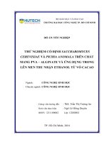 Thử nghiệm cố định saccharomyces cerevisiae và pichia anomala trên chất mang PVA alginate và ứng dụng trong lên men thu nhận ethanol từ vỏ cacao 