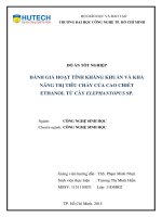 Đánh giá hoạt tính kháng khuẩn và khả năng trị tiêu chảy của cao chiết ethanol từ cây elephantopus sp  