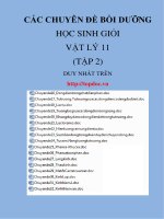Các chuyên đề bồi dưỡng học sinh giỏi vật lý lớp 11   tập 2 (hàng độc, cực hay, cực hiếm, không thể thiếu khi ôn thi học sinh giỏi) 