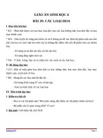 Giáo án Sinh học 6 bài 29: Các loại hoa