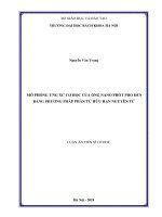 Mô phỏng ứng xử cơ học của ống nano phốt pho đen bằng phương pháp phần tử hữu hạn nguyên tử