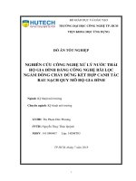 Nghiên cứu công nghệ xử lý nước thải hộ gia đình bằng công nghệ bãi lọc ngầm dòng chảy đứng kết hợp canh tác rau sạch quy mô hộ gia đình 