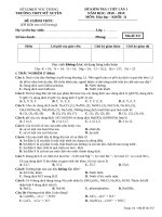 ĐỀ KIỂM TRA 1 TIẾT hóa  11 lần 1