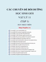 Các chuyên đề bồi dưỡng học sinh giỏi vật lý lớp 11   tập 1 (hàng độc, cực hay, cực hiếm, không thể thiếu khi ôn thi học sinh giỏi) 