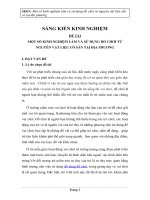 SKKN Một số kinh nghiệm làm và sử dụng đồ chơi từ nguyên vật liệu sẵn có tại địa phương