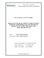 Khảo sát ứng dụng chủng vi khuẩn phản nitrate achromobacter xylosoxidans trong xử lý nước thải thủy sản nồng độ muối cao 