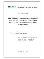 Đánh giá hoạt tính kháng khuẩn của một số loại cao chiết ethanol 70% từ môt số loại thực vật tại vườn quốc gia bidoup   núi bà, lâm đồng 