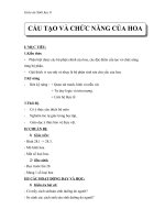 Giáo án Sinh học 6 bài 28: Cấu tạo và chức năng của hoa