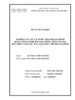 Nghiên cứu xử lý nước thải hộ gia đình bằng công nghệ bãi lọc dòng chảy ngang kết hợp canh tác rau sạch quy mô hộ gia đình 