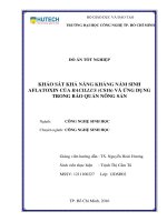 Khảo sát khả năng kháng nấm sinh aflatoxin của bacillus spp  (CS1b) và ứng dụng trong bảo quản nông sản 