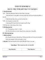 Giáo án Sinh học 6 bài 31: Thụ tinh, kết hạt và tạo quả