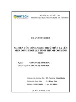 Nghiên cứu công nghệ thuỷ phân và lên men đồng thời lục bình thành cồn sinh học