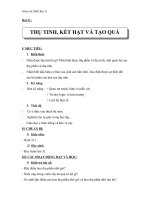 Giáo án Sinh học 6 bài 31: Thụ tinh, kết hạt và tạo quả