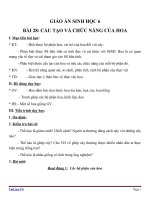 Giáo án Sinh học 6 bài 28: Cấu tạo và chức năng của hoa