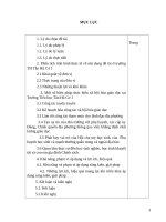 SKKN MỘT SỐ BIỆN PHÁP THỰC HIỆN XÃ HỘI HÓA Ở TRƯỜNG TIỂU HỌC