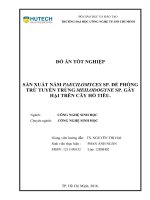 Sản xuất nấm paecilomyces sp  để phòng trừ tuyến trùng meloidogyne sp  gây hại trên cây hồ tiêu 