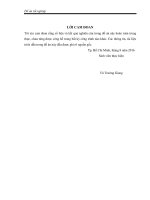 Khảo sát sơ bộ các thành phần có trong bào tử nấm linh chi phá vỡ vách 