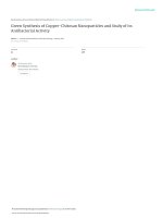 Green synthesis of copper chitosan nanoparticles a