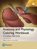 Anatomy and physiology coloring workbok a complete study guide 12th by maried 