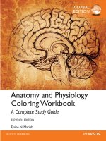 Anatomy and physiology coloring workbook a complete study guide 11th global edtion by maried 