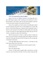 QUY TRÌNH QUẢN lý THỰC HIỆN đầu tư  của CÔNG TY cổ PHẦN xây DỰNG và THƯƠNG mại 299 