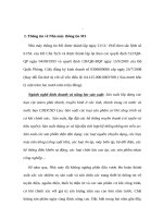   mô tả hoạt động tác nghiệp của sản xuất cột anten 