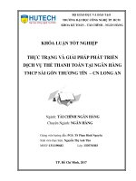 Thực trạng và giải pháp phát triển dịch vụ thẻ thanh toán tại ngân hàng TMCP sài gòn thương tín   CN long an 