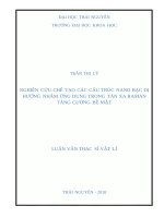Nghiên cứu chế tạo các cấu trúc nano bạc dị hướng nhằm ứng dụng trong tán xạ raman tăng cường bề mặt 