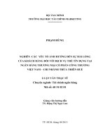 Nghiên cứu các yếu tố ảnh hưởng đến sự hài lòng của khách hàng đối với dịch vụ thẻ tín dụng tại Ngân hàng Thương mại Cổ phần Công thương Việt Nam - Chi nhánh Thừa Thiên Huế